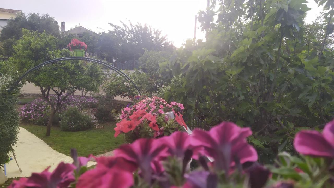 Summer Village House Popi Kanakádes Zewnętrze zdjęcie